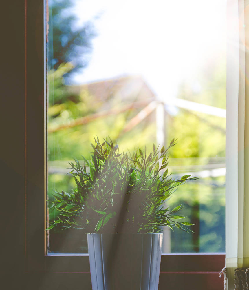 Sun shining through office window