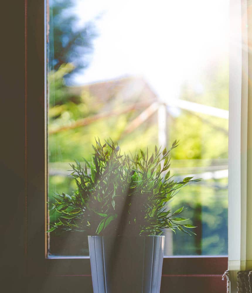 sun-rays-on-house-window-Rochester